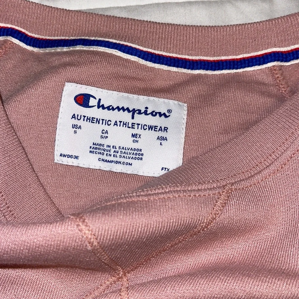 Champion - Picture 3 of 5